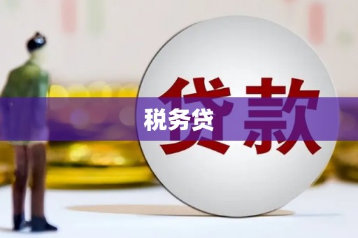 全南税务贷