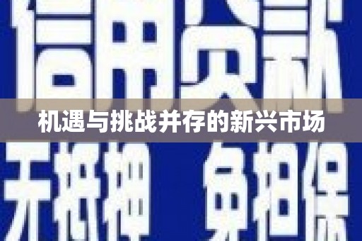全南机遇与挑战并存的新兴市场