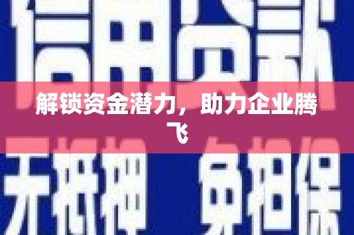 全南解锁资金潜力，助力企业腾飞