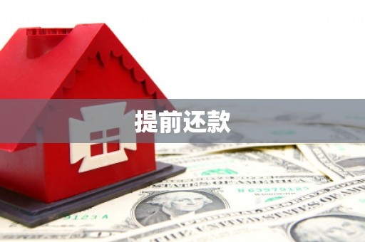 全南提前还款