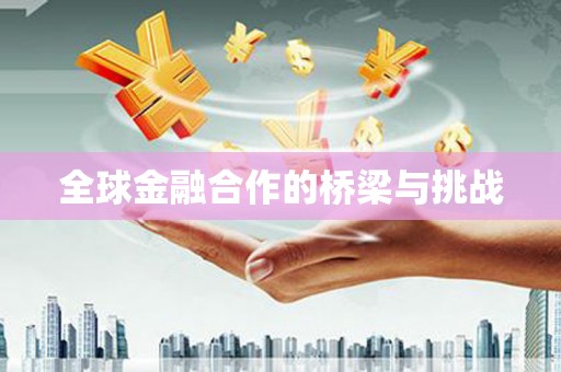 全南全球金融合作的桥梁与挑战