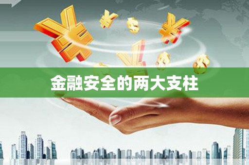 全南金融安全的两大支柱
