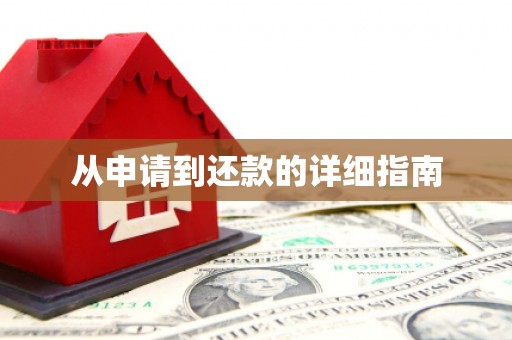 全南从申请到还款的详细指南