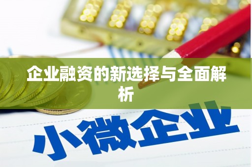 全南企业融资的新选择与全面解析