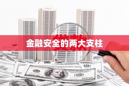 全南金融安全的两大支柱