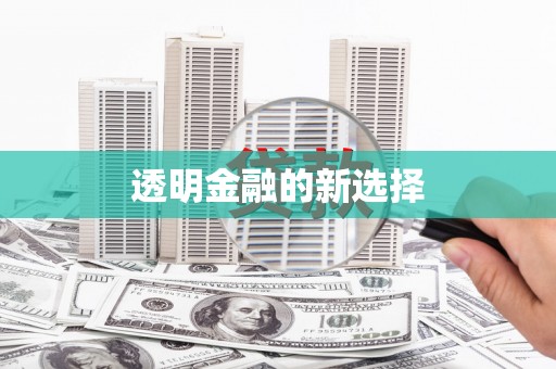 全南透明金融的新选择