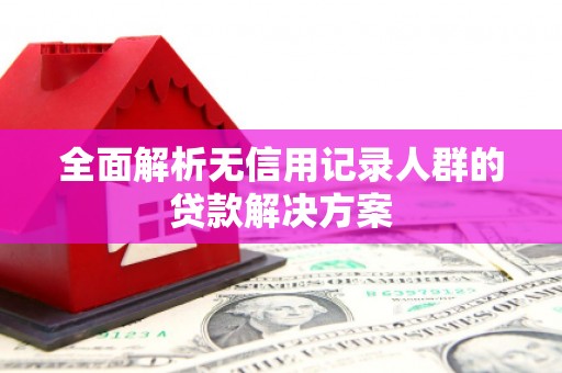 全南全面解析无信用记录人群的贷款解决方案