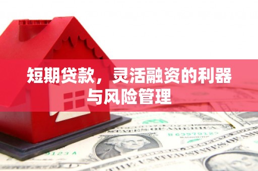 全南短期贷款，灵活融资的利器与风险管理