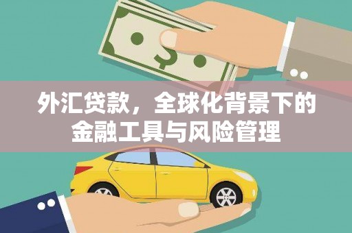 全南外汇贷款，全球化背景下的金融工具与风险管理