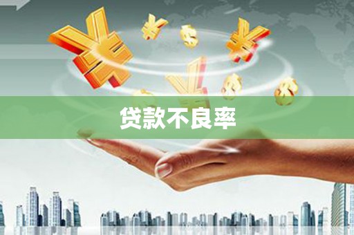全南贷款不良率