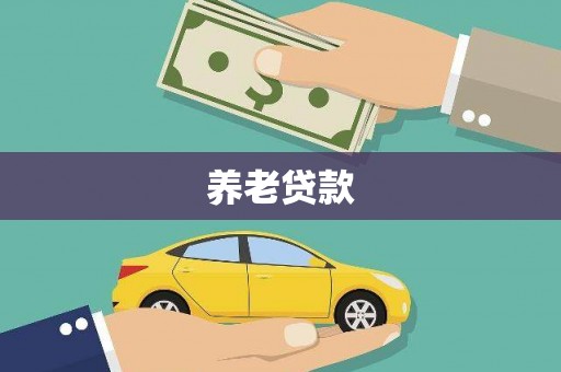 全南养老贷款