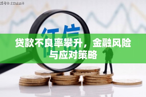全南贷款不良率攀升，金融风险与应对策略