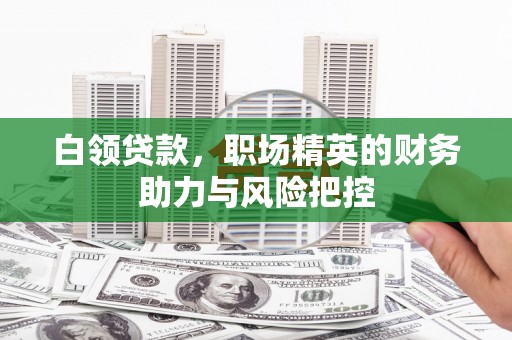 全南白领贷款，职场精英的财务助力与风险把控