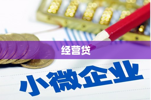 全南经营贷