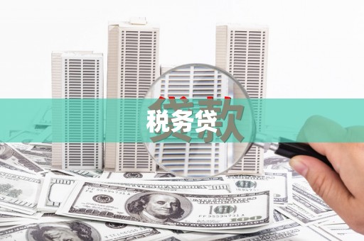 全南税务贷